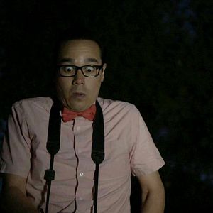 Bilder Cicada - Sind die Insekten Bomben?