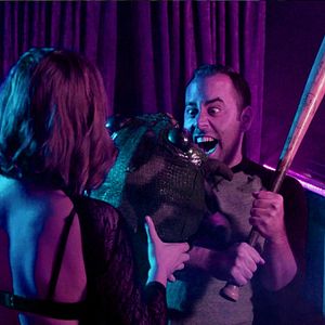 Bilder Cicada - Sind die Insekten Bomben?