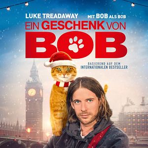 Bilder Ein Geschenk von Bob