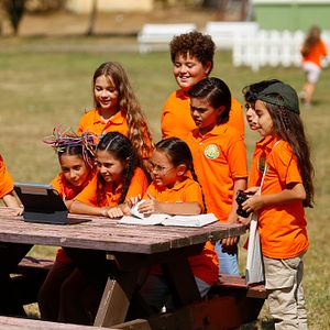 Bilder Şöhretler Okulu