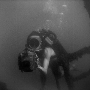 Bilder Cousteau