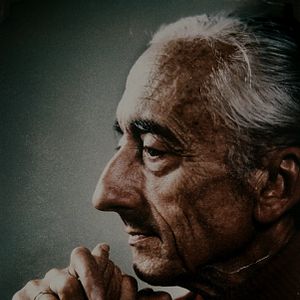 Bilder Cousteau