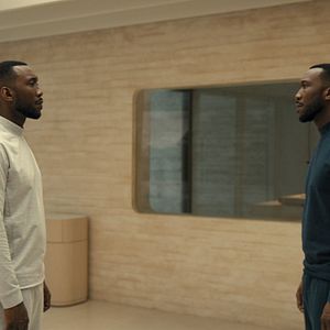 Bilder Schwanengesang