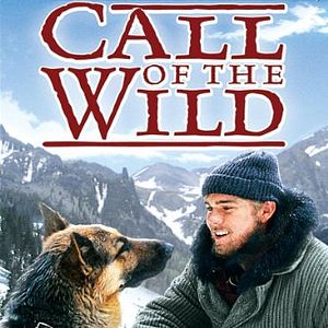 Bilder Der Ruf der Wildnis