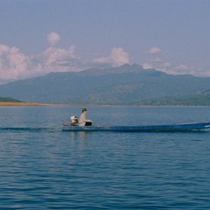 Bilder Goodbye Mister Wong