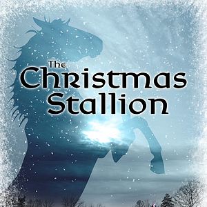 Bilder The Christmas Stallion