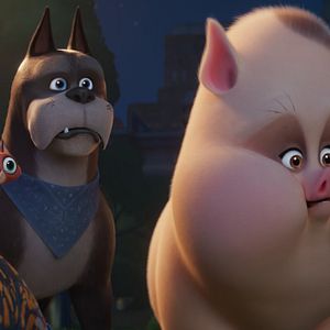 Bilder DC League Of Super-Pets