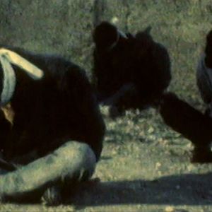 Bilder The First 54 Years – An Abbreviated Manual for Military Occupation