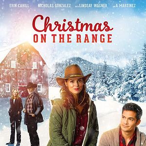 Bilder Ein Tierarzt zu Weihnachten