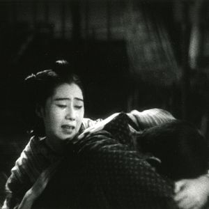 Bilder Osen mit den Papierkranichen