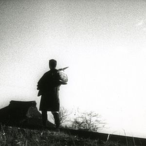 Bilder Osen mit den Papierkranichen