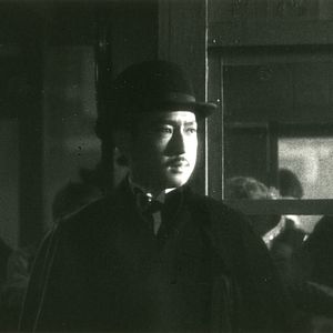 Bilder Osen mit den Papierkranichen