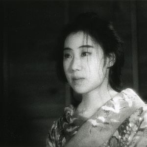 Bilder Osen mit den Papierkranichen