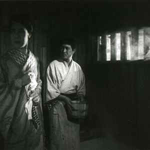 Bilder Osen mit den Papierkranichen