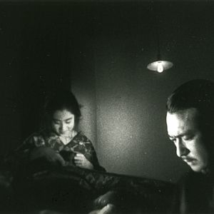 Bilder Osen mit den Papierkranichen