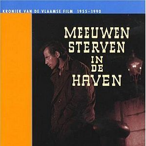 Bilder Seagulls Die in the Harbour