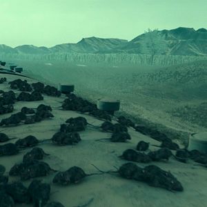 Bilder Rats On A Train