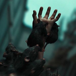 Bilder Rats On A Train