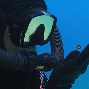 Bilder Puffs Reich: Wunder des Riffs