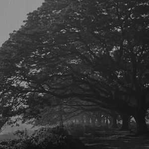 Bilder Der verborgene Stern