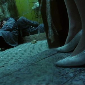 Bilder Days Of Being Wild