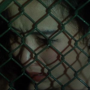 Bilder Days Of Being Wild