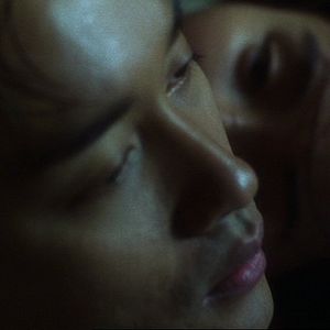 Bilder Days Of Being Wild