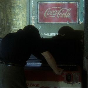 Bilder Days Of Being Wild