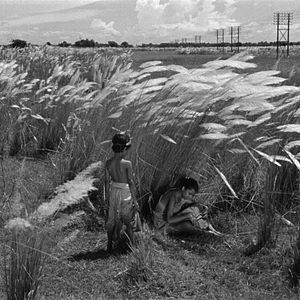 Bilder Apus Weg ins Leben: Auf der Straße