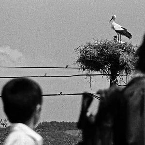 Bilder Die Kleinstadt