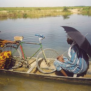 Bilder Das Leben auf Erden
