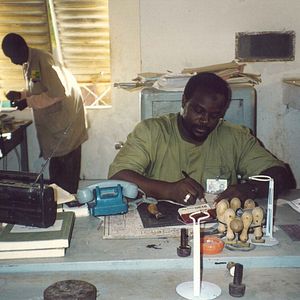 Bilder Das Leben auf Erden