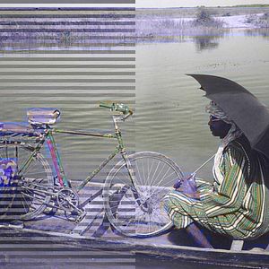 Bilder Das Leben auf Erden