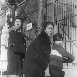 Bilder Erzählungen eines Nachbarn