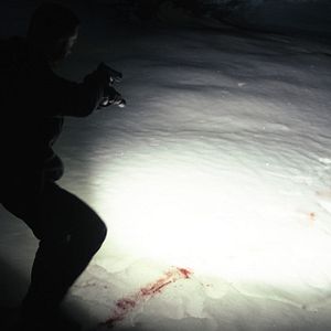 Bilder Csaba Krisztik