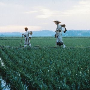 Bilder Zerbrechliches Schicksal