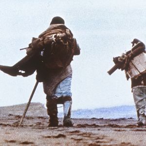 Bilder Zerbrechliches Schicksal