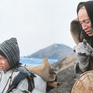 Bilder Zerbrechliches Schicksal