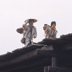 Bilder Zerbrechliches Schicksal