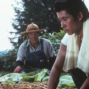 Bilder Liebe braucht keine Worte