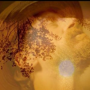 Bilder Exhibition On Screen: Sonnenblumen