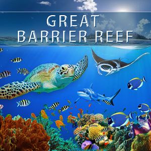 Bilder Great Barrier Reef