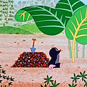 Bilder Le Carnaval de la petite taupe