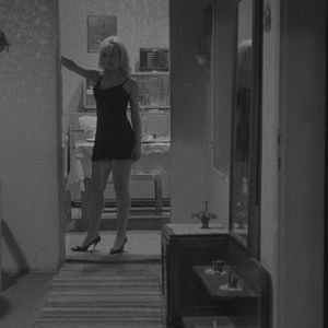 Bilder Der Mensch ist kein Vogel