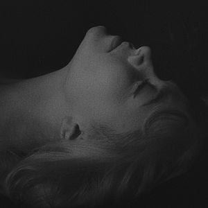 Bilder Der Mensch ist kein Vogel