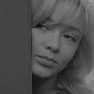 Bilder Der Mensch ist kein Vogel