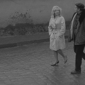 Bilder Der Mensch ist kein Vogel