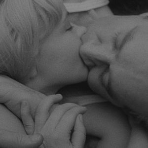 Bilder Der Mensch ist kein Vogel