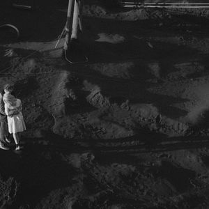 Bilder Der Mensch ist kein Vogel