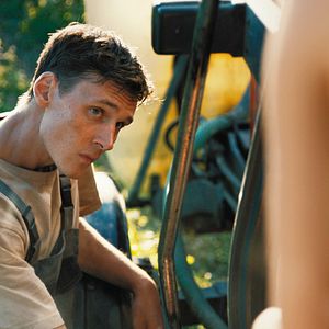 Bilder Niemand ist bei den Kälbern